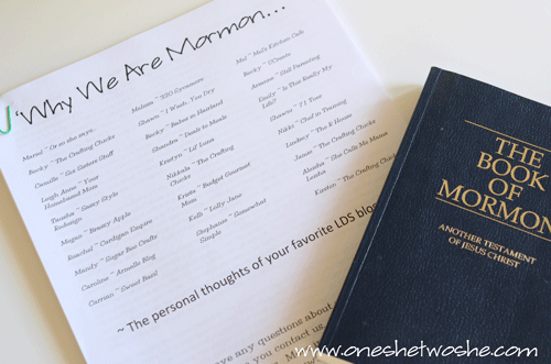 mormon mom bloggers