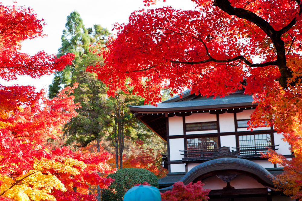 Thanksgiving 2014 – Japan part 1