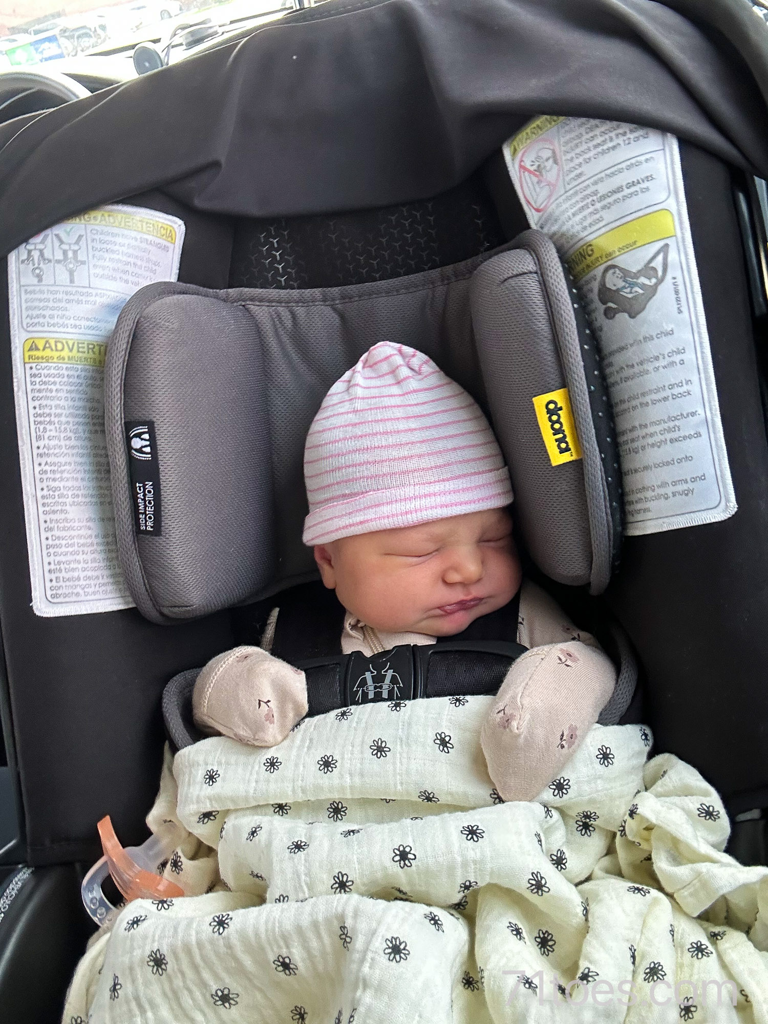 Murphy coming home from the hospital in a giant carseat