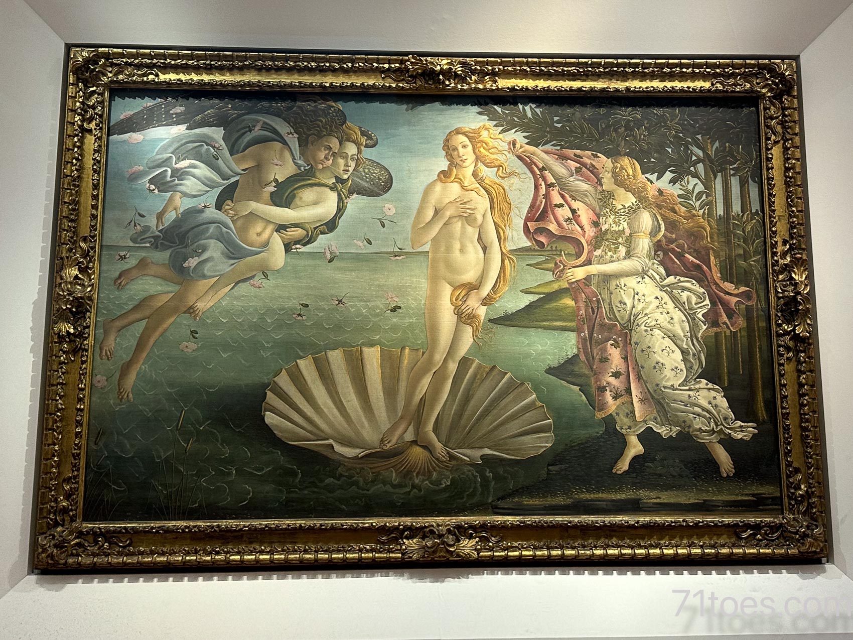 The Birth of Venus art of Florence
