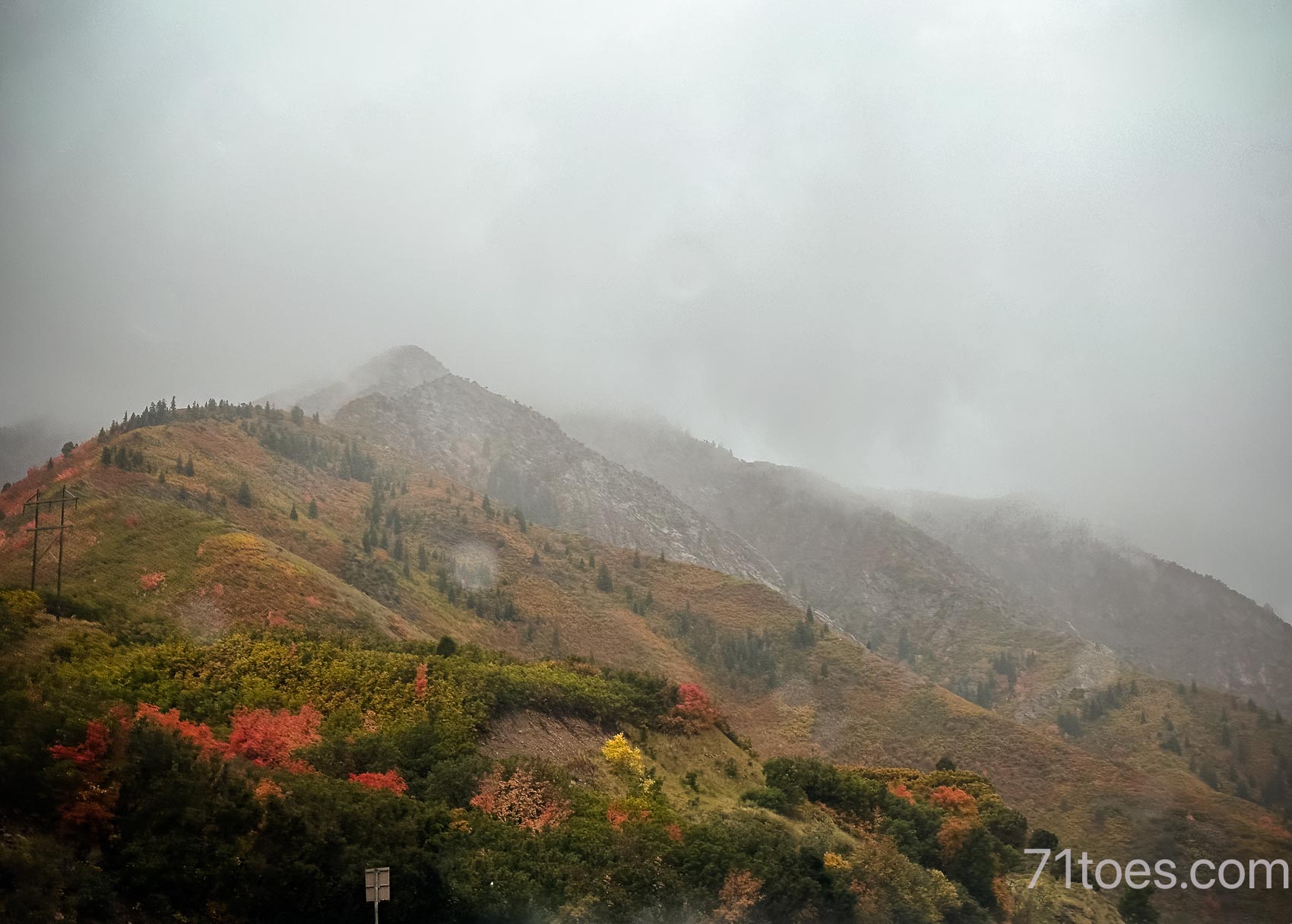 The fall leaves in Utah