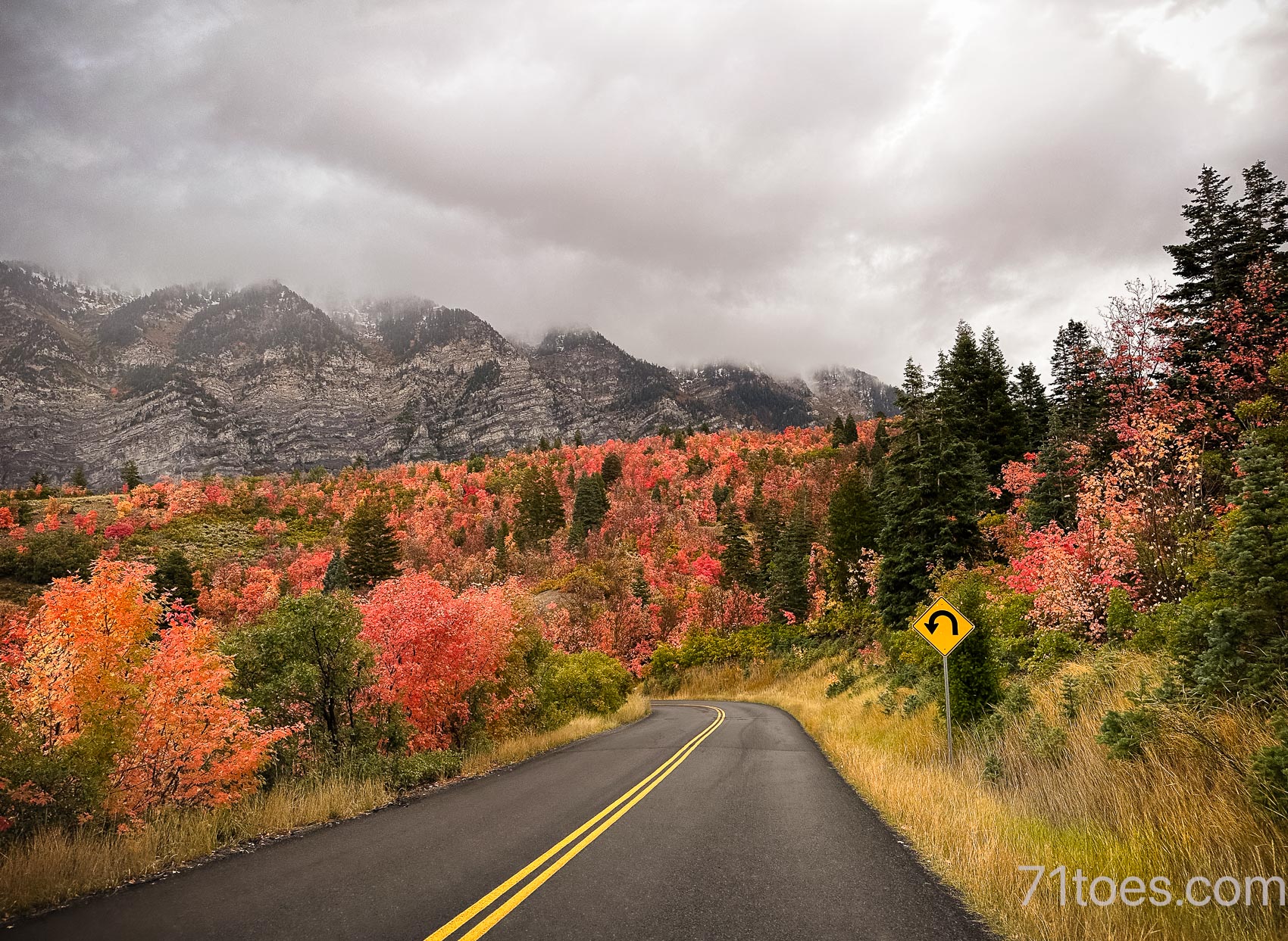 Fall foliage in Utah